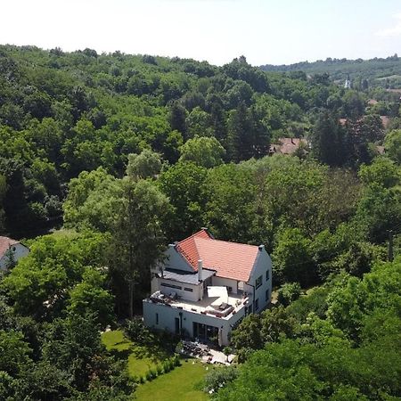 Villa Viridis Bükkalja Borsodgeszt Exterior foto